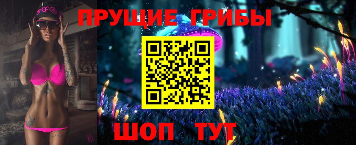 Галлюциногенные грибы MAGIC MUSHROOMS  Вход с VPN  что такое наркотик  Зерноград 